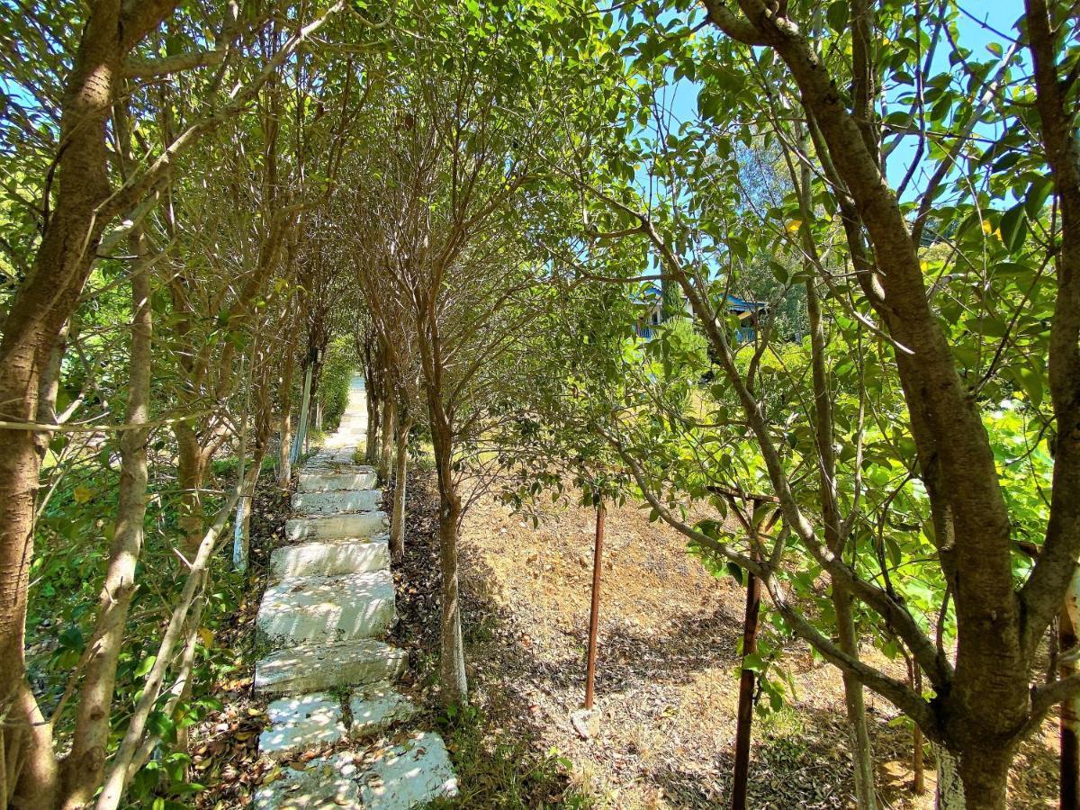 Ramo'S Hilltop Retreat With Kitchenette And Patio - 1St Vlorë Εξωτερικό φωτογραφία